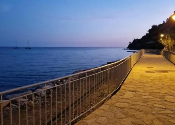 Il Sole Di Pioppi * 폴리카